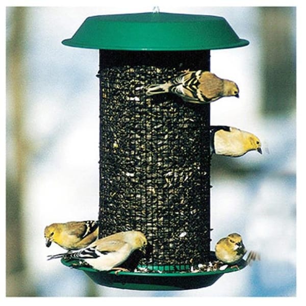 Fancy Feline NAMAG1 Plastic Oil Sunflower Bird Magnum Feeder, Hunter Green FA137068 - main